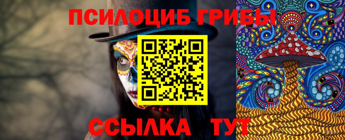 Псилоцибиновые грибы Psilocybine cubensis  Вход с VPN  Сергиев Посад 